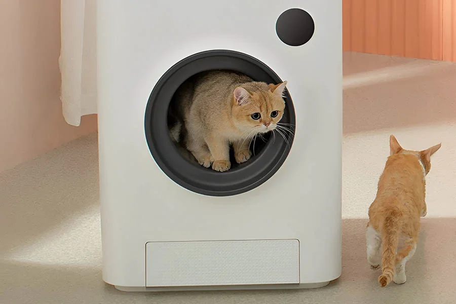 cat litter that cleans itself